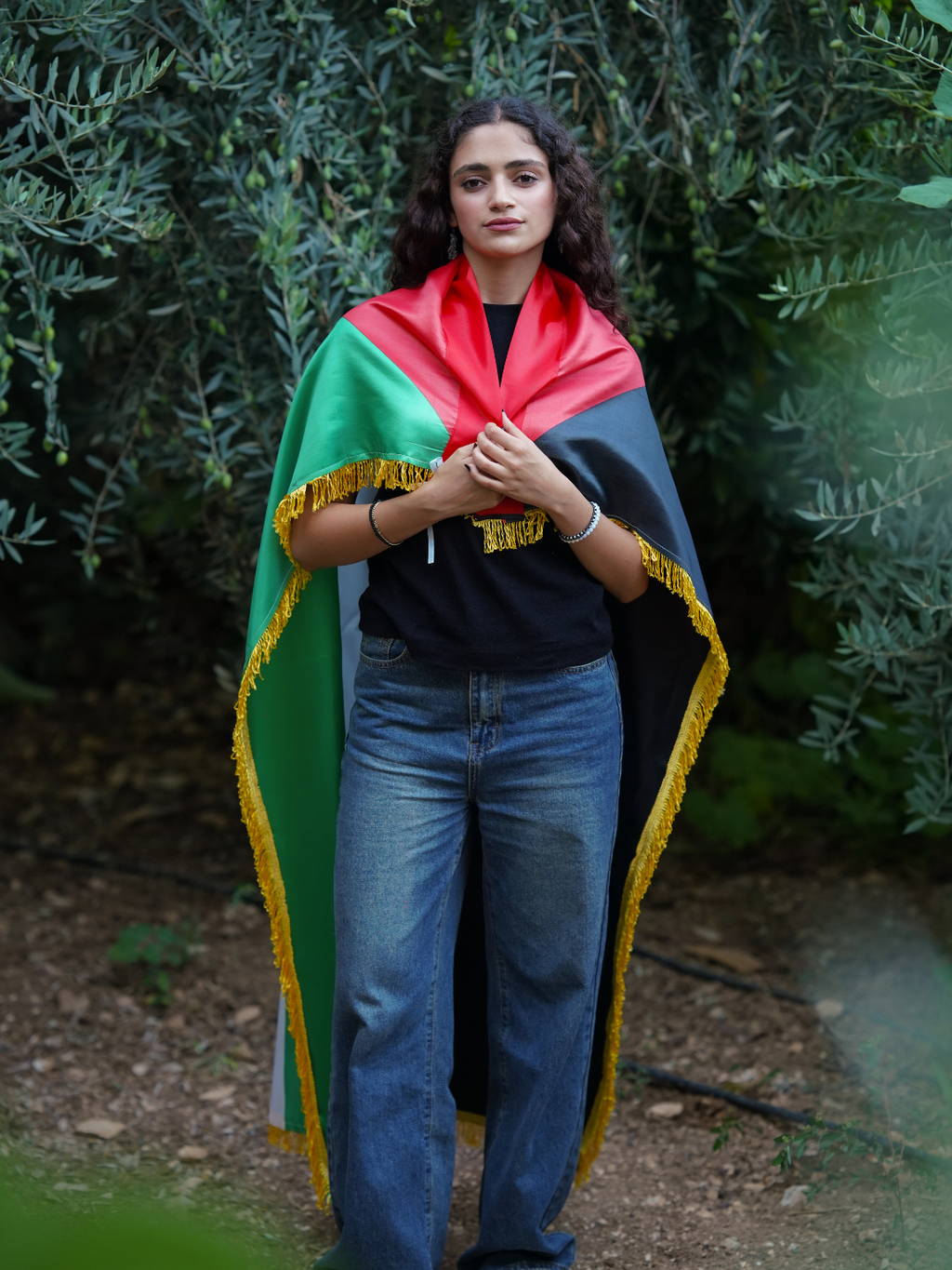 Schöne Palästina Flagge mit Verzierung